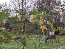  <a style='color: #fff;' href='/uploaded/photo/assembly-e-gy-ny-rale-du-26-novembre-2023-vue-par-nicole-6565e52d06c6c.jpg'>(Télécharger)</a>