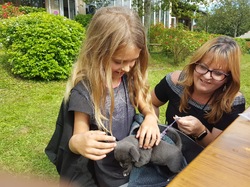  <a style='color: #fff;' href='/uploaded/photo/journee-nature-rando-barbecue-6127aa5d18427.jpg'>(Télécharger)</a>