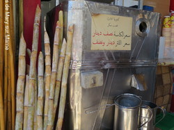  <a style='color: #fff;' href='/uploaded/photo/la-jordanie-vue-par-agny-s-64ae4efd71d19.jpg'>(Télécharger)</a>