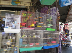  <a style='color: #fff;' href='/uploaded/photo/la-jordanie-vue-par-agny-s-64ae4f126b007.jpg'>(Télécharger)</a>