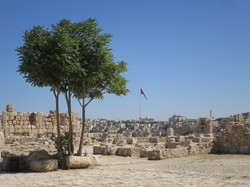  <a style='color: #fff;' href='/uploaded/photo/la-jordanie-vue-par-agny-s-64ae4f2fe24dc.jpg'>(Télécharger)</a>