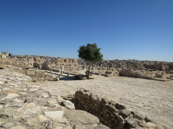  <a style='color: #fff;' href='/uploaded/photo/la-jordanie-vue-par-agny-s-64ae4f3377e82.jpg'>(Télécharger)</a>