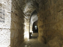  <a style='color: #fff;' href='/uploaded/photo/la-jordanie-vue-par-agny-s-64ae4f798ee40.jpg'>(Télécharger)</a>