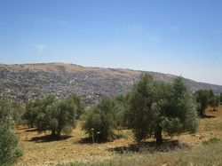  <a style='color: #fff;' href='/uploaded/photo/la-jordanie-vue-par-agny-s-64ae4f7c6f16a.jpg'>(Télécharger)</a>
