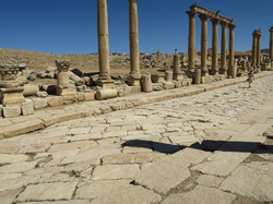  <a style='color: #fff;' href='/uploaded/photo/la-jordanie-vue-par-agny-s-64ae4f7d030fd.jpg'>(Télécharger)</a>