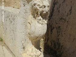  <a style='color: #fff;' href='/uploaded/photo/la-jordanie-vue-par-agny-s-64ae4f822fbaa.jpg'>(Télécharger)</a>