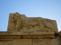  <a style='color: #fff;' href='/uploaded/photo/la-jordanie-vue-par-agny-s-64ae4f852e0d2.jpg'>(Télécharger)</a>