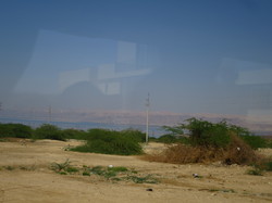  <a style='color: #fff;' href='/uploaded/photo/la-jordanie-vue-par-agny-s-64ae4f8c7faaf.jpg'>(Télécharger)</a>