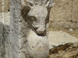  <a style='color: #fff;' href='/uploaded/photo/la-jordanie-vue-par-agny-s-64ae4f9083fdd.jpg'>(Télécharger)</a>