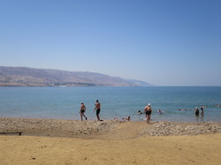  <a style='color: #fff;' href='/uploaded/photo/la-jordanie-vue-par-agny-s-64ae4f9343a15.jpg'>(Télécharger)</a>