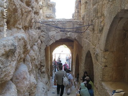  <a style='color: #fff;' href='/uploaded/photo/la-jordanie-vue-par-agny-s-64ae4f954fde9.jpg'>(Télécharger)</a>