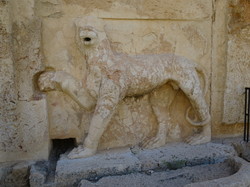  <a style='color: #fff;' href='/uploaded/photo/la-jordanie-vue-par-agny-s-64ae4f9d5f9d6.jpg'>(Télécharger)</a>