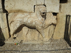  <a style='color: #fff;' href='/uploaded/photo/la-jordanie-vue-par-agny-s-64ae4fad00c08.jpg'>(Télécharger)</a>