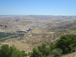  <a style='color: #fff;' href='/uploaded/photo/la-jordanie-vue-par-agny-s-64ae4fb5daae7.jpg'>(Télécharger)</a>