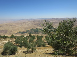  <a style='color: #fff;' href='/uploaded/photo/la-jordanie-vue-par-agny-s-64ae4fb60ba4e.jpg'>(Télécharger)</a>