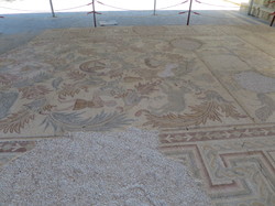  <a style='color: #fff;' href='/uploaded/photo/la-jordanie-vue-par-agny-s-64ae4fbb739c2.jpg'>(Télécharger)</a>