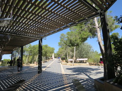  <a style='color: #fff;' href='/uploaded/photo/la-jordanie-vue-par-agny-s-64ae4fbfdba5a.jpg'>(Télécharger)</a>