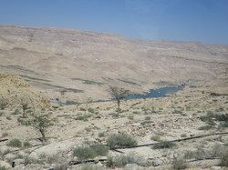 mini_la-jordanie-vue-par-agny-s-64ae4fcec5a1d.jpg