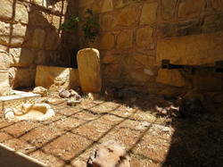  <a style='color: #fff;' href='/uploaded/photo/la-jordanie-vue-par-agny-s-64ae4fd21eebc.jpg'>(Télécharger)</a>