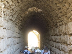  <a style='color: #fff;' href='/uploaded/photo/la-jordanie-vue-par-agny-s-64ae4fd9eeade.jpg'>(Télécharger)</a>