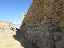  <a style='color: #fff;' href='/uploaded/photo/la-jordanie-vue-par-agny-s-64ae4fddcf6cd.jpg'>(Télécharger)</a>