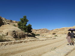  <a style='color: #fff;' href='/uploaded/photo/la-jordanie-vue-par-agny-s-64ae4feb611dc.jpg'>(Télécharger)</a>