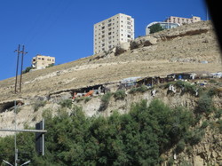  <a style='color: #fff;' href='/uploaded/photo/la-jordanie-vue-par-agny-s-64ae4fecd4f4c.jpg'>(Télécharger)</a>