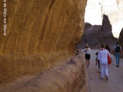  <a style='color: #fff;' href='/uploaded/photo/la-jordanie-vue-par-agny-s-64ae4ff1cd36a.jpg'>(Télécharger)</a>