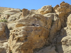  <a style='color: #fff;' href='/uploaded/photo/la-jordanie-vue-par-agny-s-64ae4ff29d591.jpg'>(Télécharger)</a>