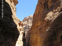  <a style='color: #fff;' href='/uploaded/photo/la-jordanie-vue-par-agny-s-64ae4ff63c193.jpg'>(Télécharger)</a>