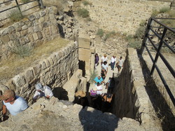  <a style='color: #fff;' href='/uploaded/photo/la-jordanie-vue-par-agny-s-64ae4ff794e0a.jpg'>(Télécharger)</a>