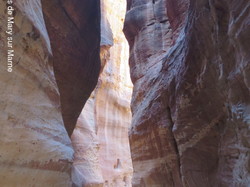  <a style='color: #fff;' href='/uploaded/photo/la-jordanie-vue-par-agny-s-64ae4ffa8cedd.jpg'>(Télécharger)</a>