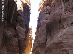  <a style='color: #fff;' href='/uploaded/photo/la-jordanie-vue-par-agny-s-64ae4ffd1e170.jpg'>(Télécharger)</a>