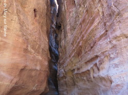  <a style='color: #fff;' href='/uploaded/photo/la-jordanie-vue-par-agny-s-64ae4ffe497be.jpg'>(Télécharger)</a>