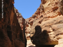  <a style='color: #fff;' href='/uploaded/photo/la-jordanie-vue-par-agny-s-64ae5003dd3a2.jpg'>(Télécharger)</a>