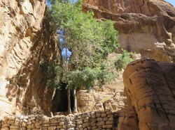  <a style='color: #fff;' href='/uploaded/photo/la-jordanie-vue-par-agny-s-64ae500505d38.jpg'>(Télécharger)</a>