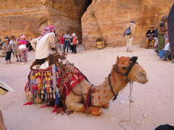  <a style='color: #fff;' href='/uploaded/photo/la-jordanie-vue-par-agny-s-64ae500e2d99c.jpg'>(Télécharger)</a>