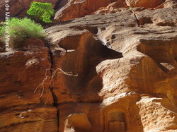  <a style='color: #fff;' href='/uploaded/photo/la-jordanie-vue-par-agny-s-64ae50117c868.jpg'>(Télécharger)</a>