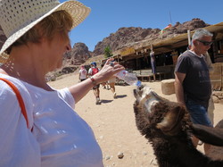  <a style='color: #fff;' href='/uploaded/photo/la-jordanie-vue-par-agny-s-64ae501cc3159.jpg'>(Télécharger)</a>