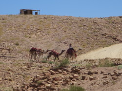  <a style='color: #fff;' href='/uploaded/photo/la-jordanie-vue-par-agny-s-64ae501fe2b09.jpg'>(Télécharger)</a>