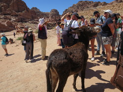  <a style='color: #fff;' href='/uploaded/photo/la-jordanie-vue-par-agny-s-64ae50258e836.jpg'>(Télécharger)</a>