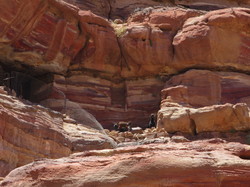  <a style='color: #fff;' href='/uploaded/photo/la-jordanie-vue-par-agny-s-64ae502a49803.jpg'>(Télécharger)</a>