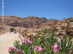  <a style='color: #fff;' href='/uploaded/photo/la-jordanie-vue-par-agny-s-64ae502c61a39.jpg'>(Télécharger)</a>