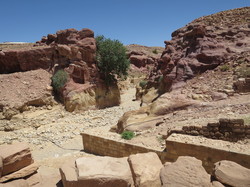  <a style='color: #fff;' href='/uploaded/photo/la-jordanie-vue-par-agny-s-64ae502eb6448.jpg'>(Télécharger)</a>