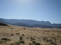  <a style='color: #fff;' href='/uploaded/photo/la-jordanie-vue-par-agny-s-64ae50344cf7f.jpg'>(Télécharger)</a>