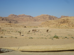 <a style='color: #fff;' href='/uploaded/photo/la-jordanie-vue-par-agny-s-64ae503467f51.jpg'>(Télécharger)</a>