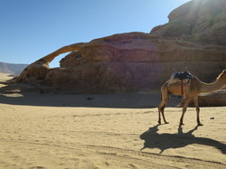  <a style='color: #fff;' href='/uploaded/photo/la-jordanie-vue-par-agny-s-64ae5037628bf.jpg'>(Télécharger)</a>