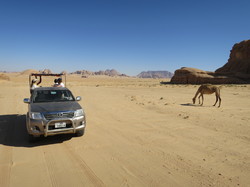  <a style='color: #fff;' href='/uploaded/photo/la-jordanie-vue-par-agny-s-64ae5037abb4c.jpg'>(Télécharger)</a>