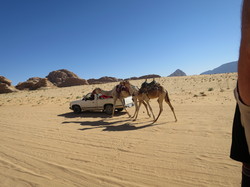  <a style='color: #fff;' href='/uploaded/photo/la-jordanie-vue-par-agny-s-64ae5038418f0.jpg'>(Télécharger)</a>