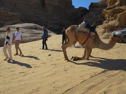  <a style='color: #fff;' href='/uploaded/photo/la-jordanie-vue-par-agny-s-64ae5038c9906.jpg'>(Télécharger)</a>